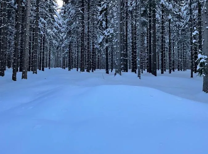 Horský Vebrovy Boudy Penzion Pec pod Sněžkou