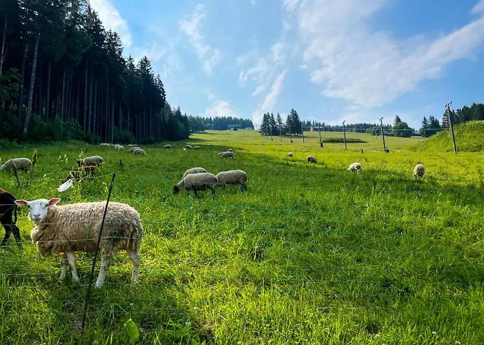 Horský Vebrovy Boudy Penzion Pec pod Sněžkou